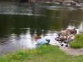 Aviemore-Fort William (112)